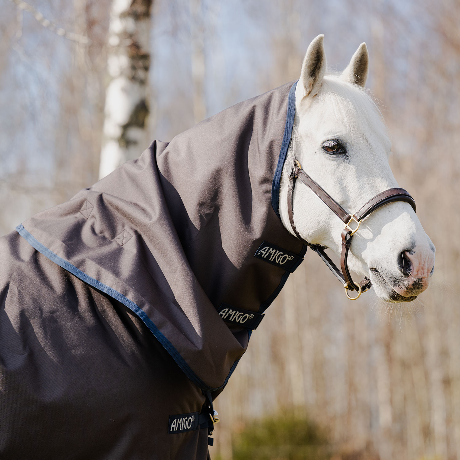 Sadeloimi Amigo 1200D Turnout 30g Horseware®