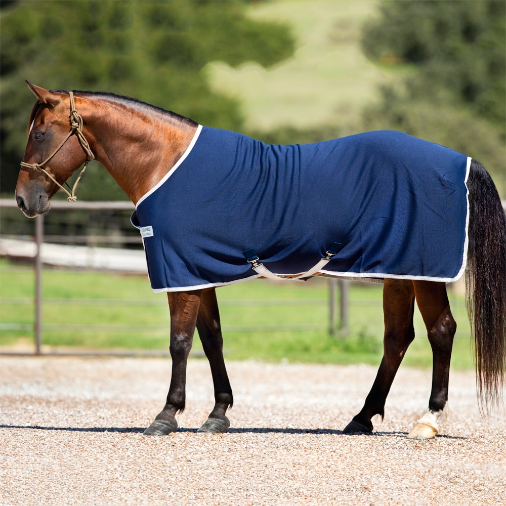 Talliloimi  Amigo Jersey Cooler Horseware®