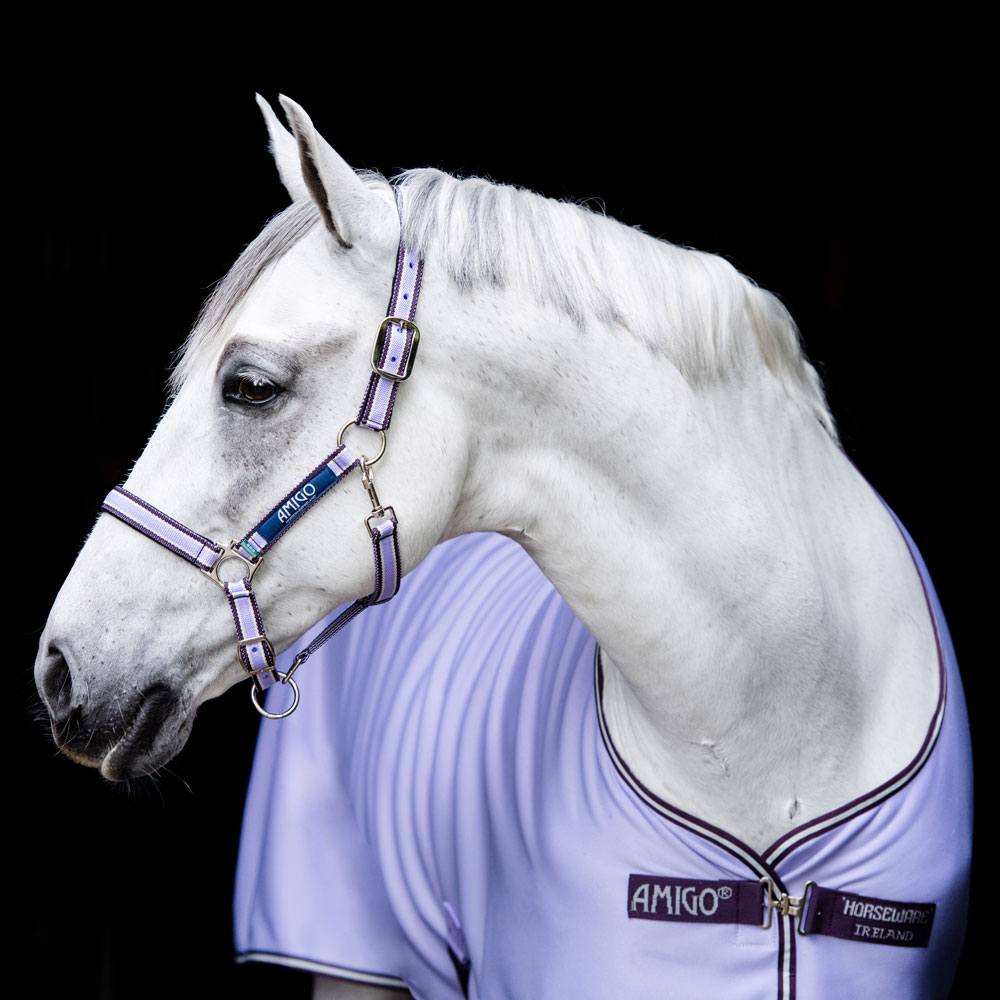 Talliloimi  Amigo Jersey Cooler Horseware®