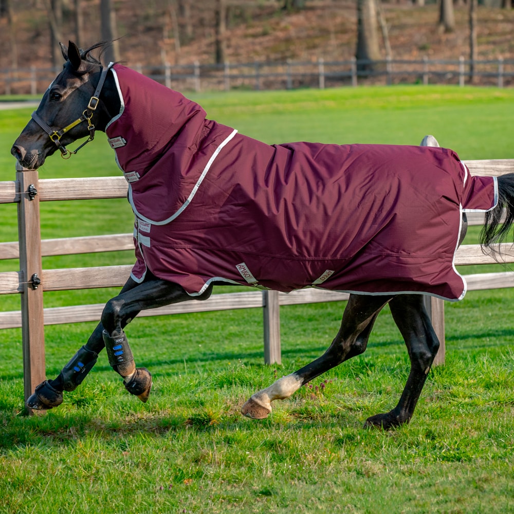 Ulkoloimi  Amigo Hero Ripstop Plus 200 Horseware®