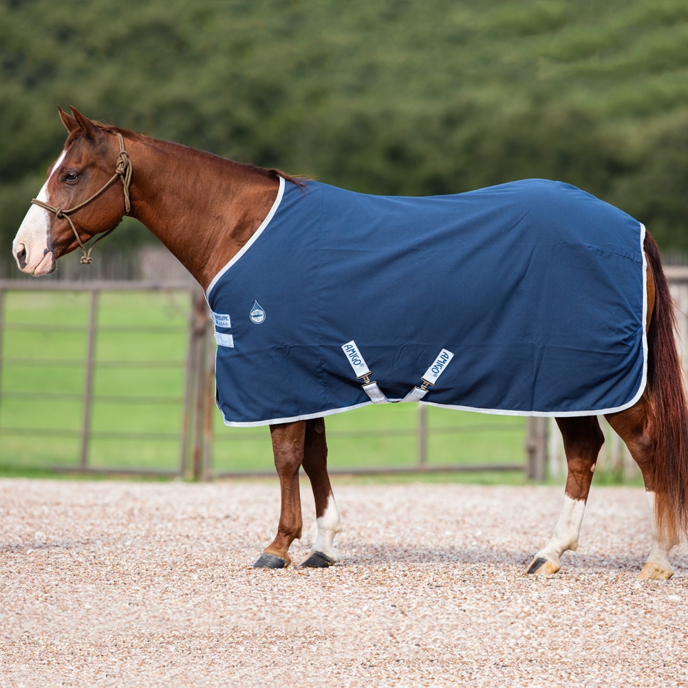 Talliloimi  Amigo Stable Sheet Horseware®