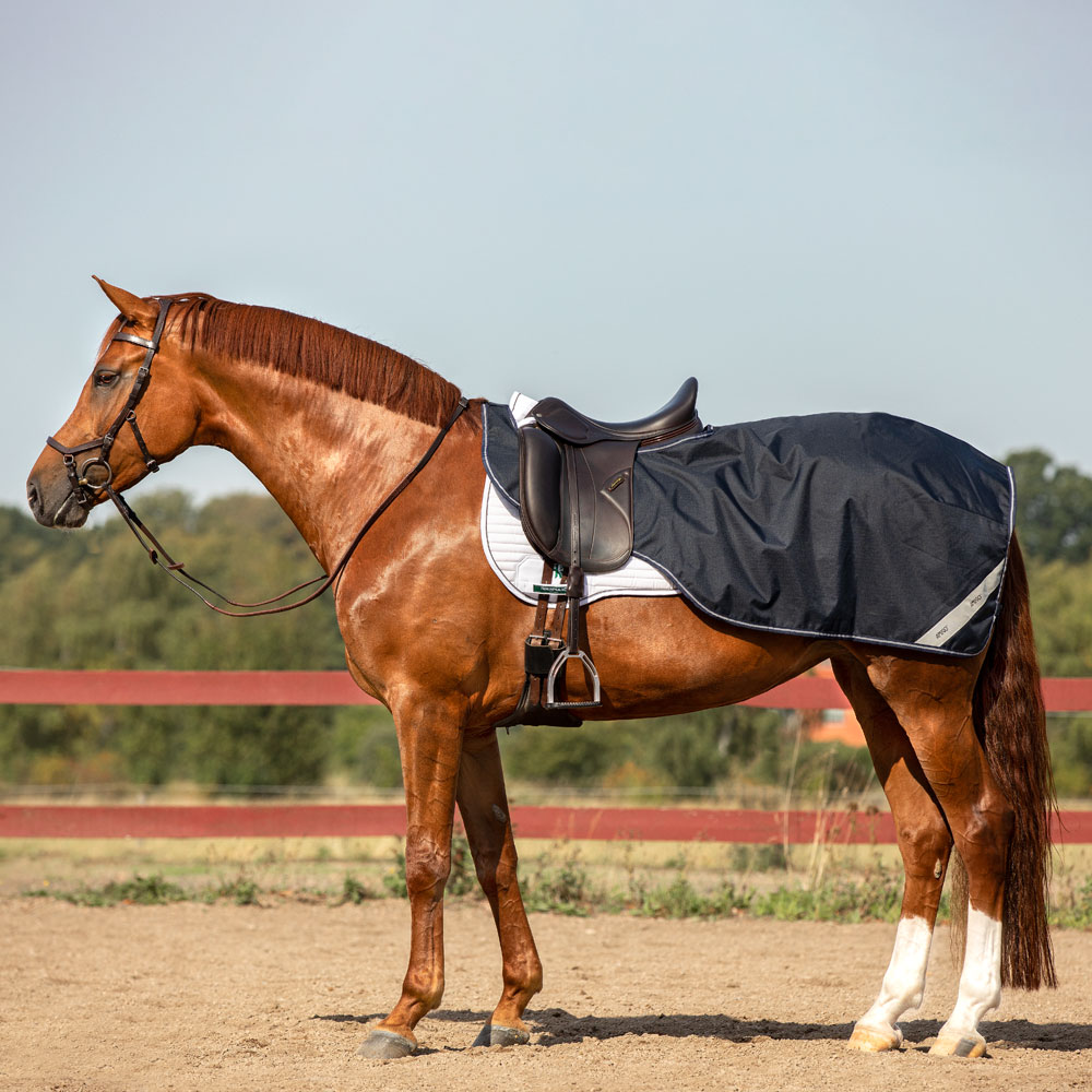 Ratsastusloimi  Amigo Competition Sheet Horseware®