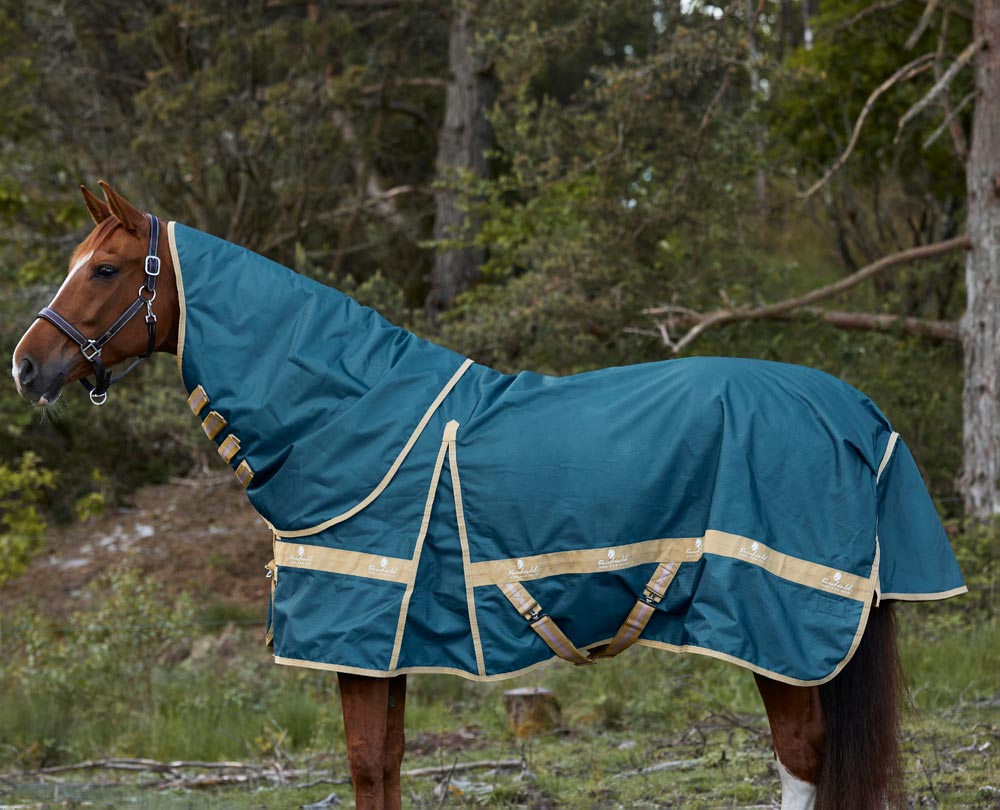 Sadeloimi  Rigel 80 2.0 Fairfield®