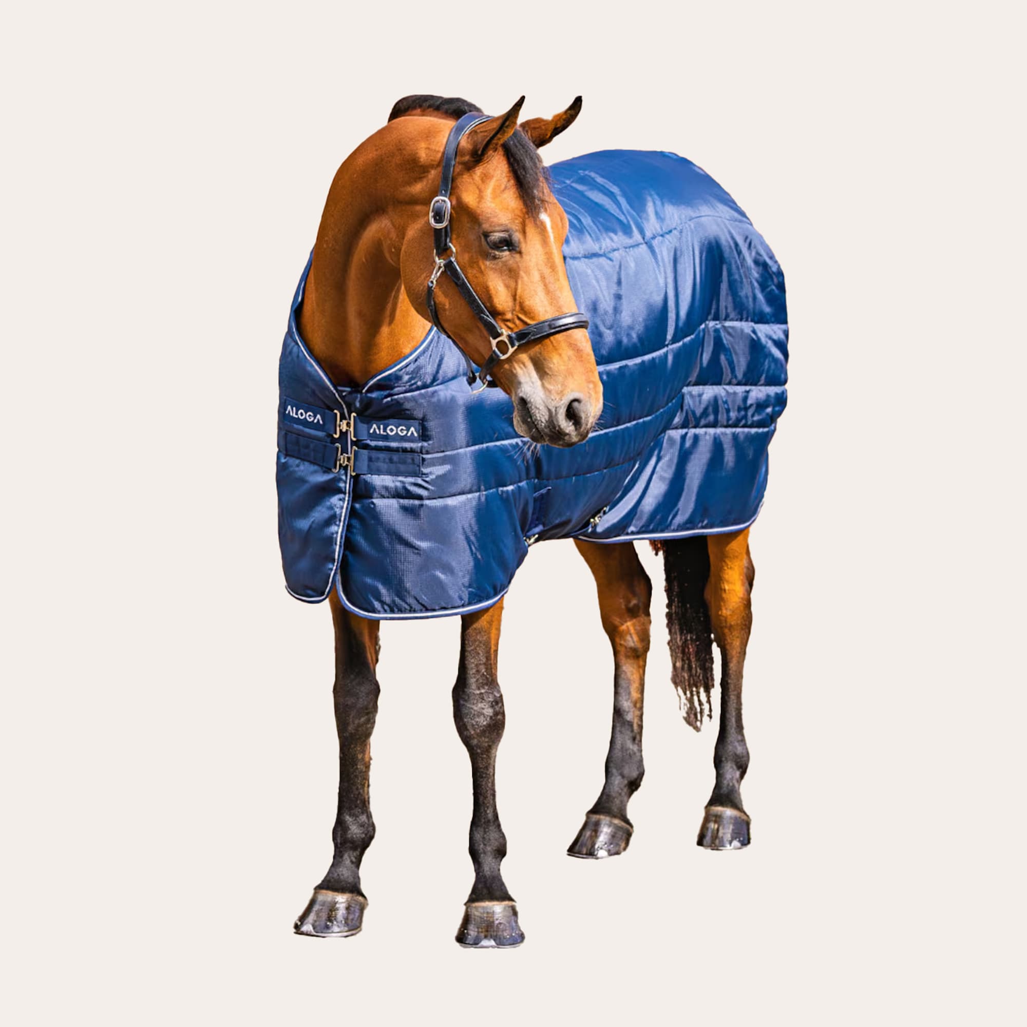 Talliloimi Stable Blanket 150g Aloga Equestrian