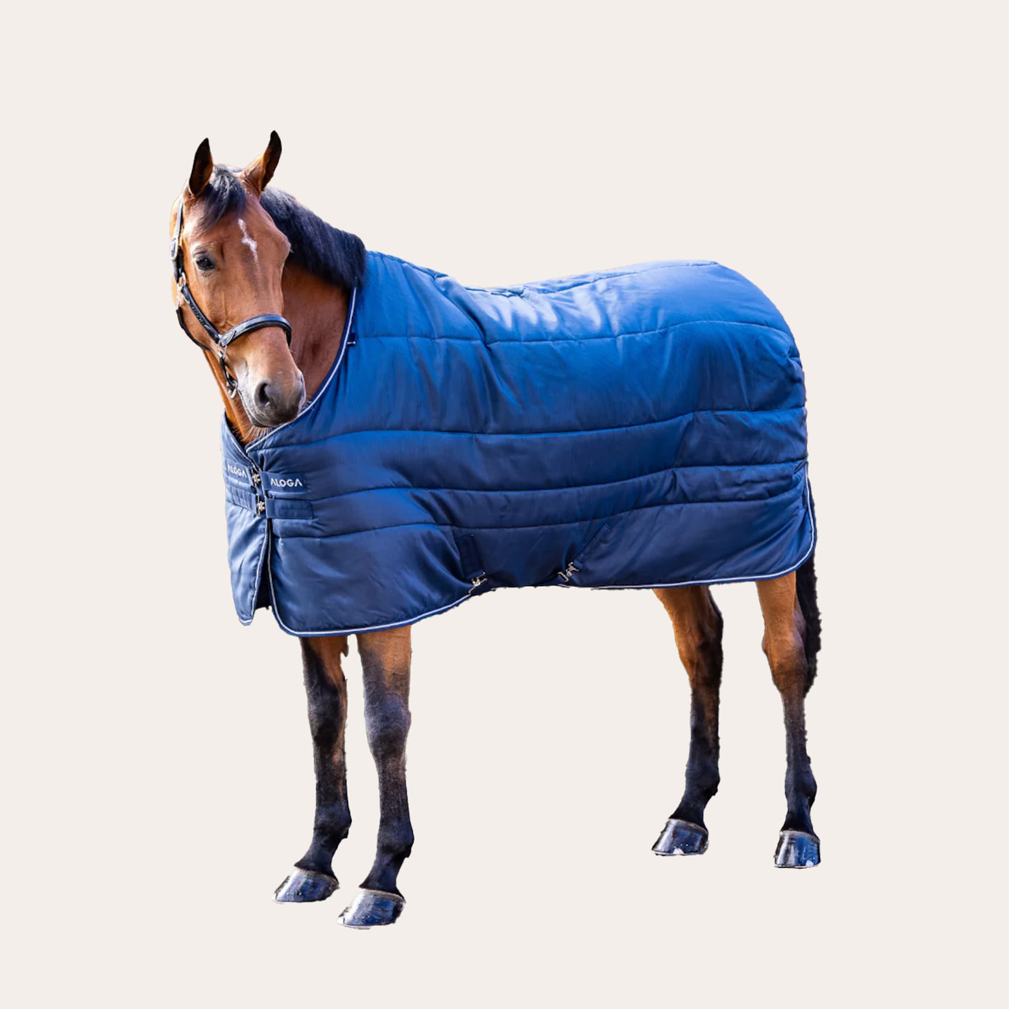 Talliloimi Stable Blanket 150g Aloga Equestrian