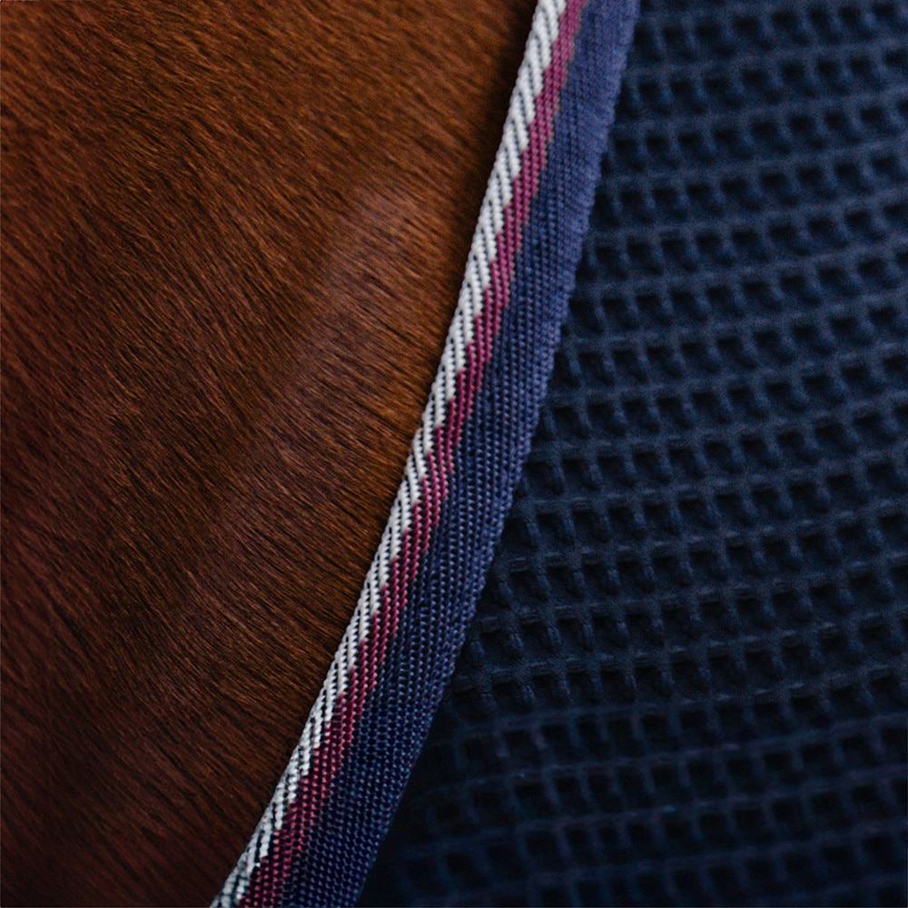 Hikiloimi  Champion Fairfield®