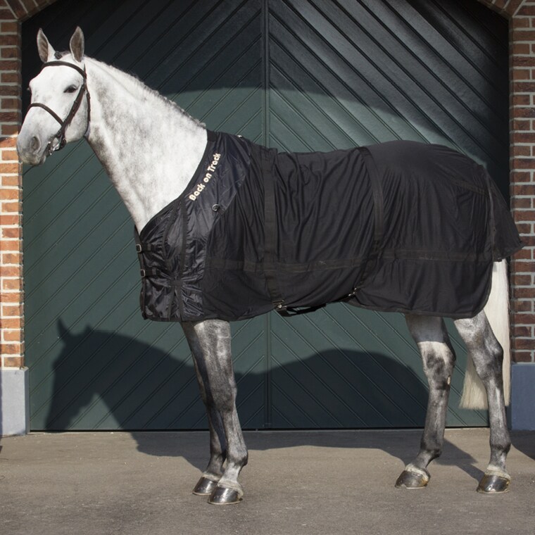 Verkkoloimi Back on Track®