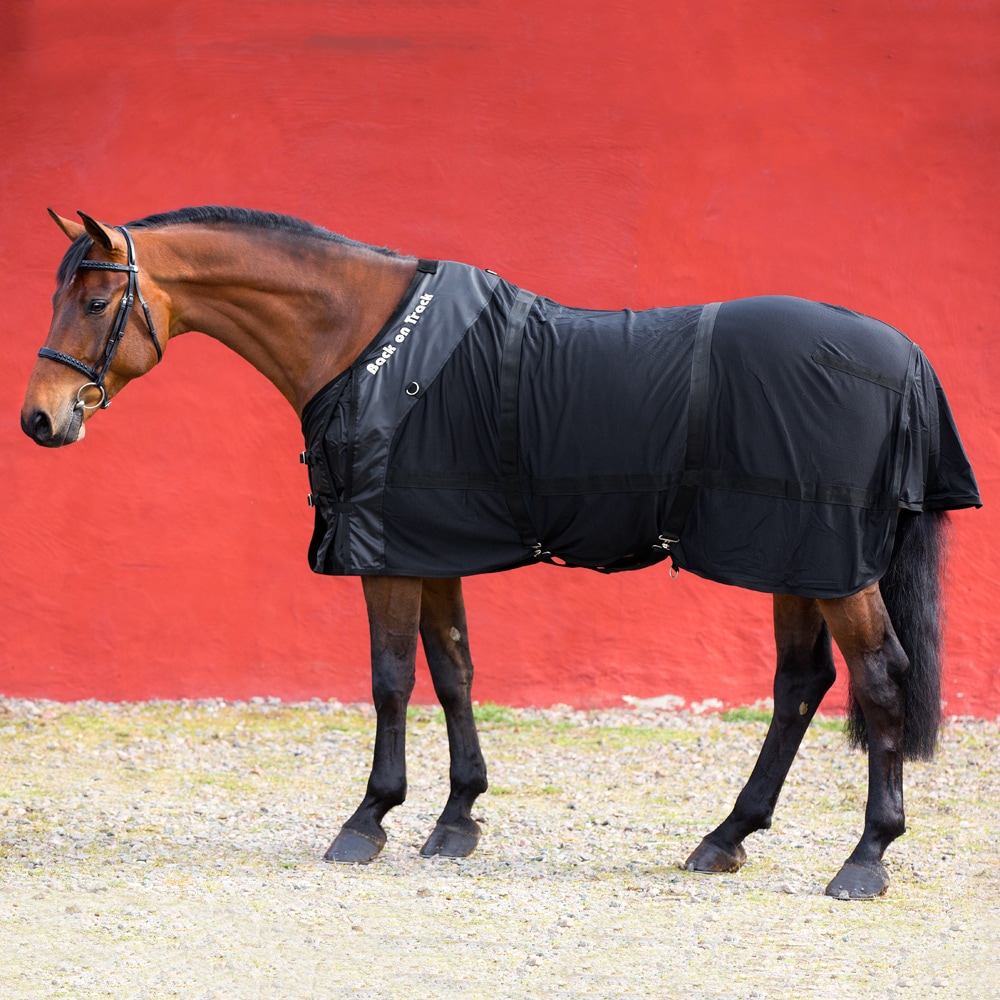 Verkkoloimi Back on Track®