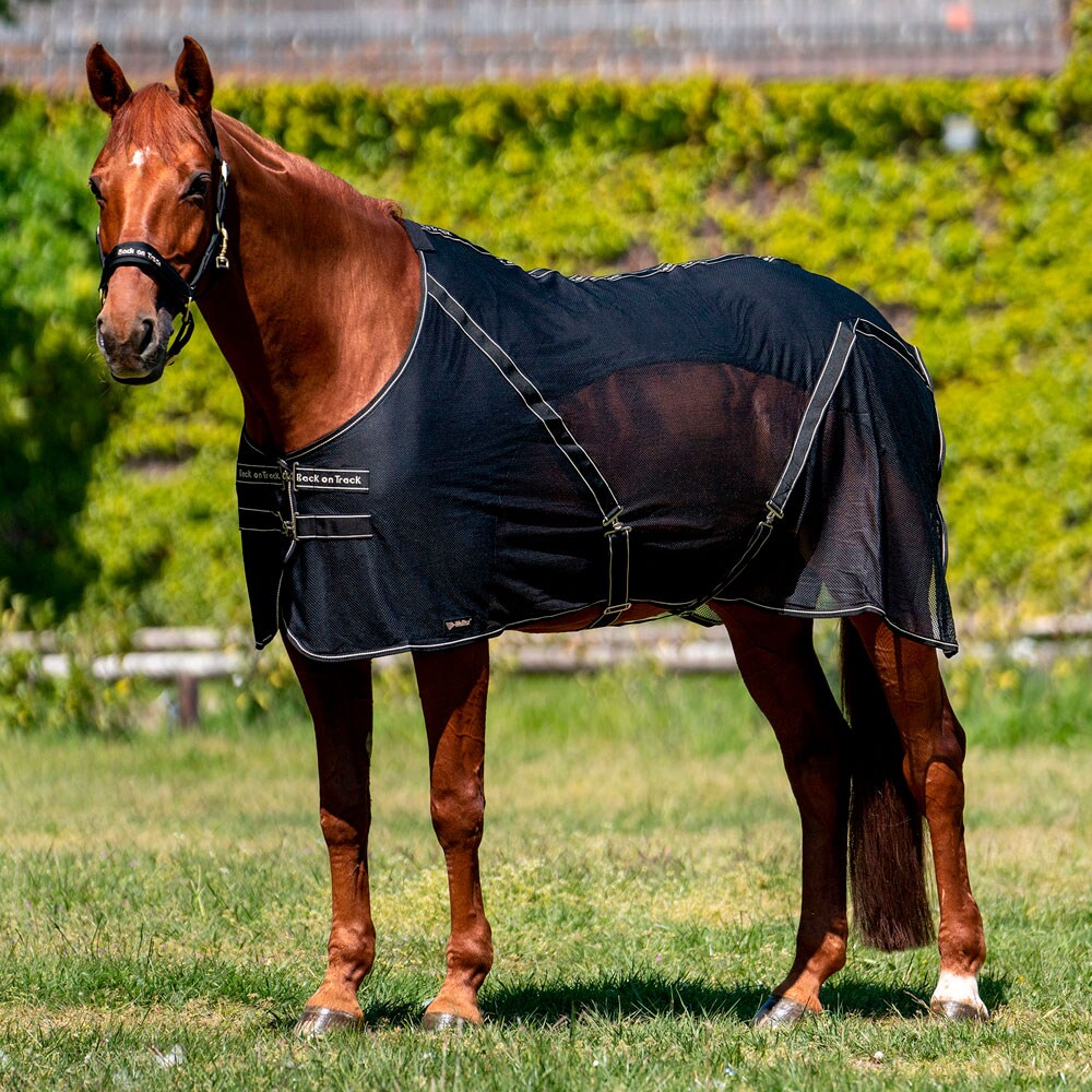 Hikiloimi  Sienna Back on Track®