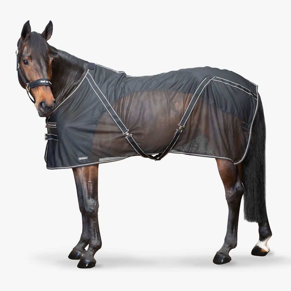 Hikiloimi  Sienna Back on Track®