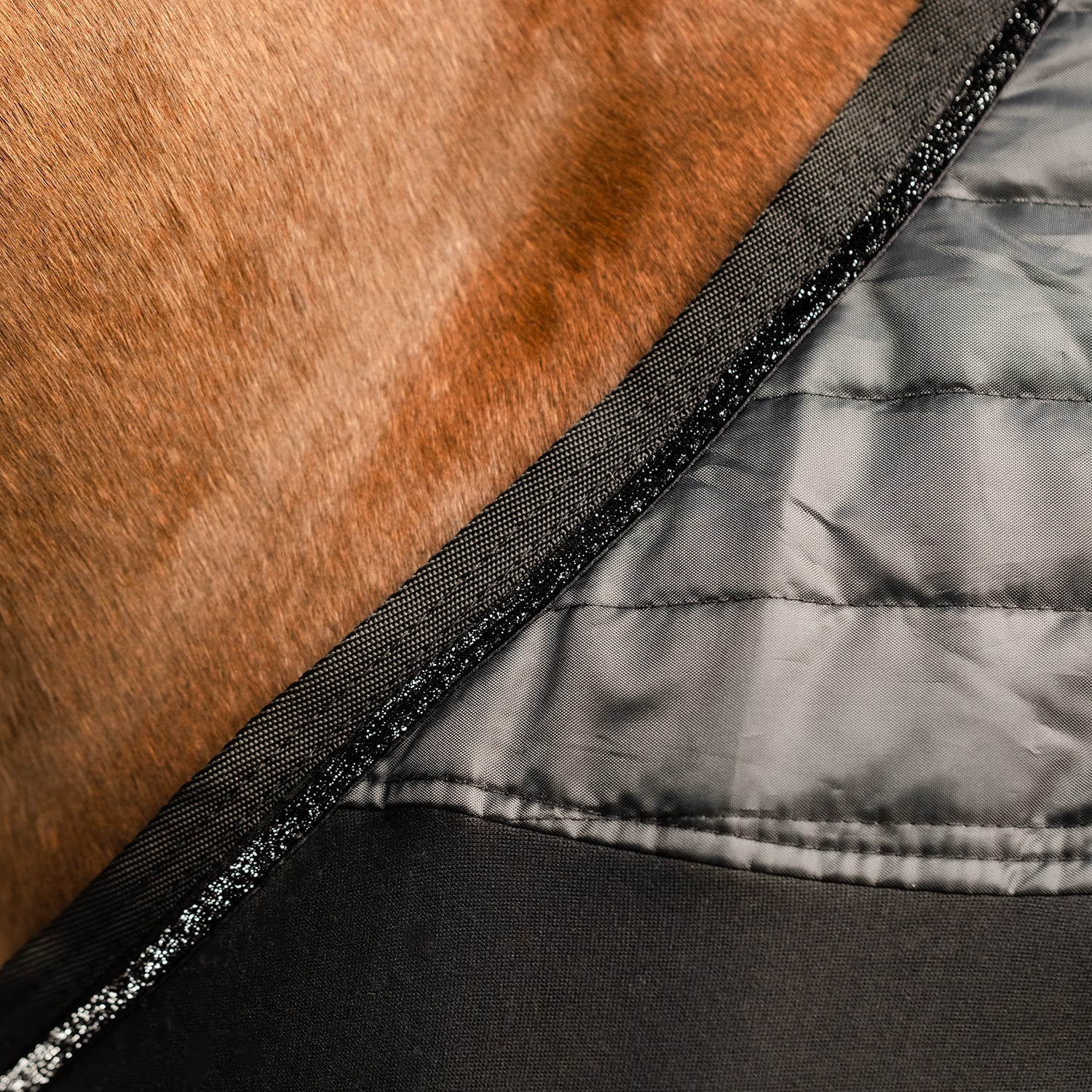 Fleeceloimi  Victory 