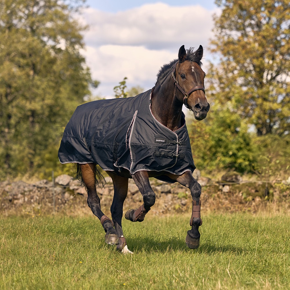 Talviloimi  Tornado 400 g Fairfield®