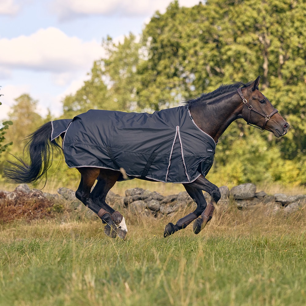 Talviloimi  Tornado 400 g Fairfield®