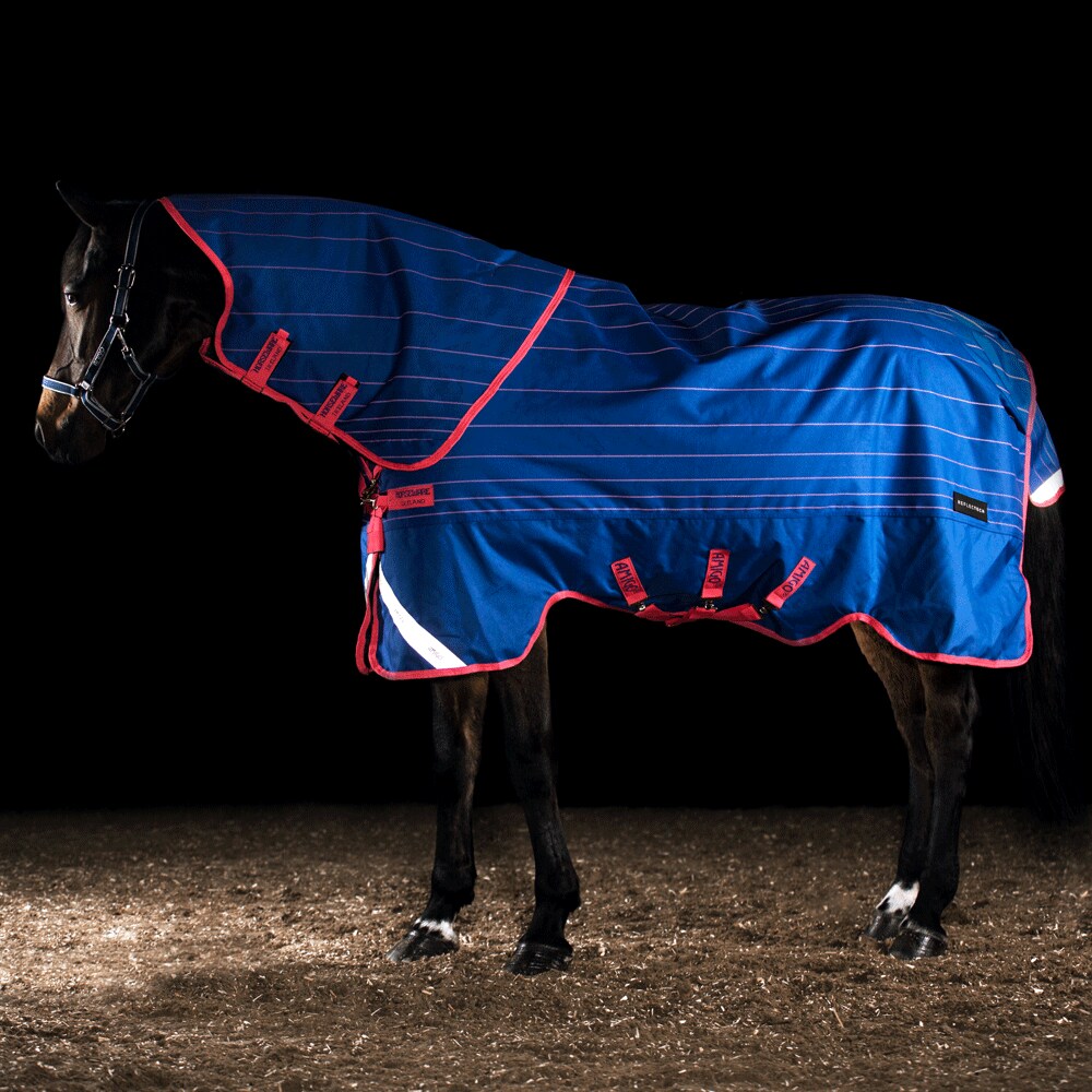 Talviloimi  Amigo Bravo Reflectech Plus 250 Horseware®