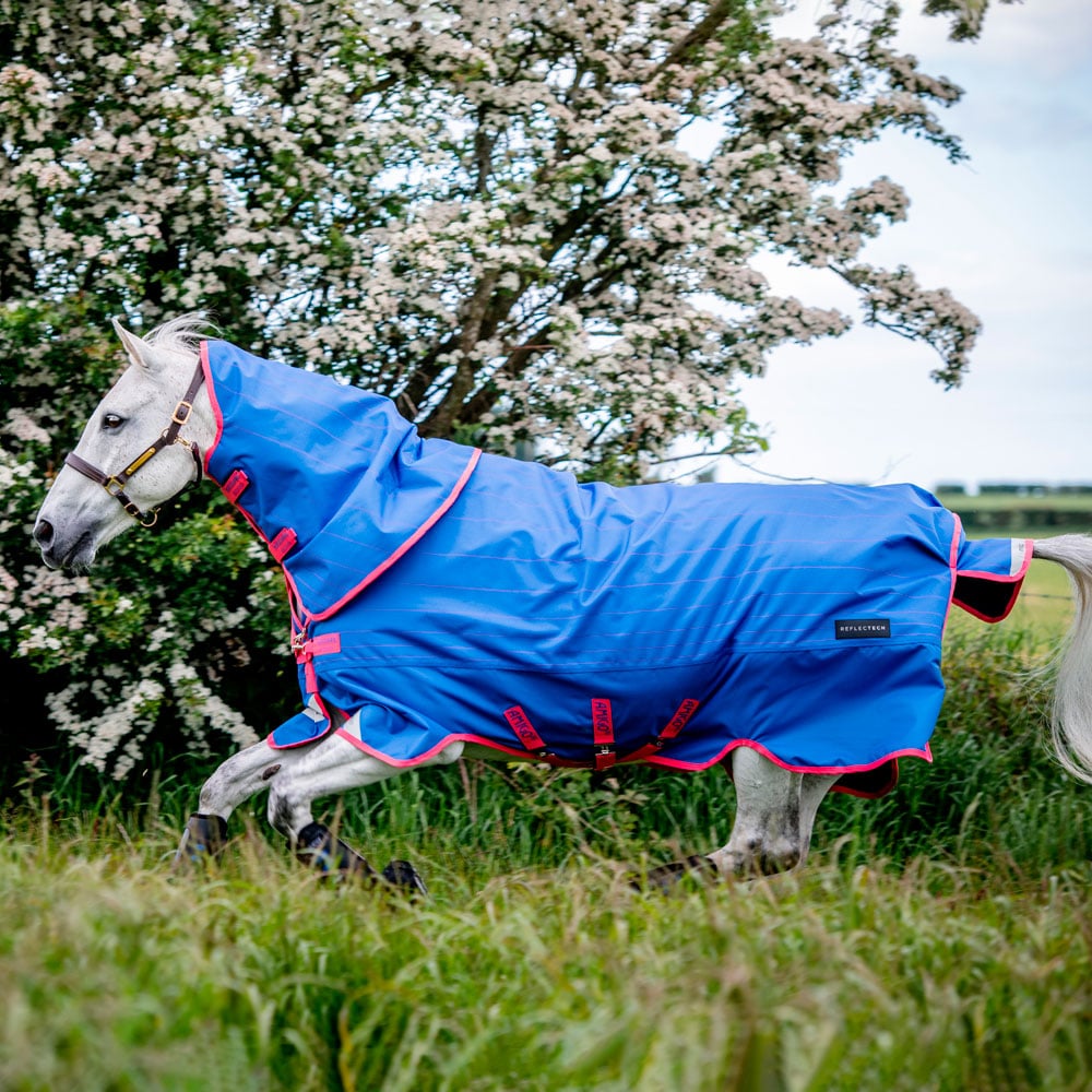 Talviloimi Amigo Bravo Reflectech Plus 250 Horseware®