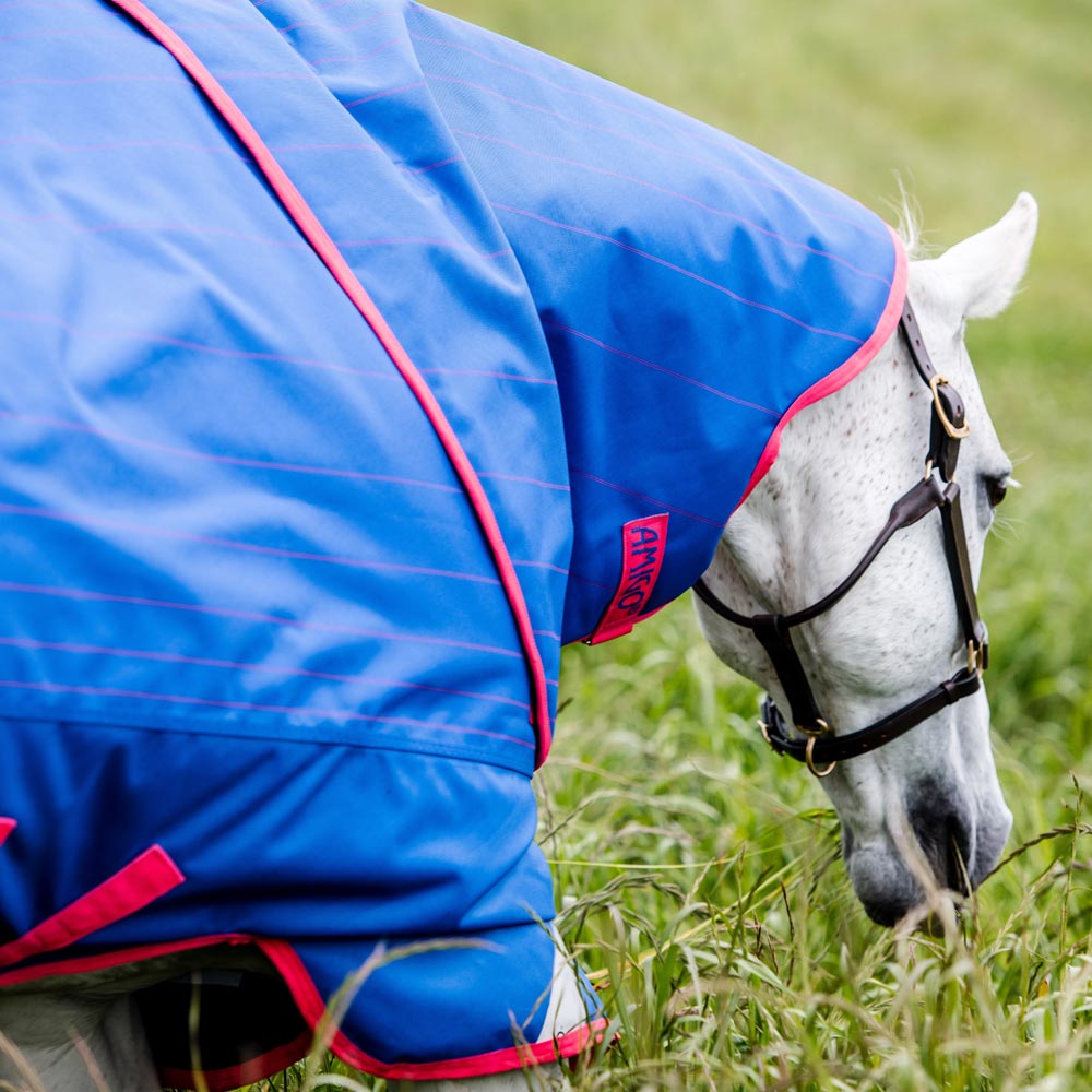 Talviloimi Amigo Bravo Reflectech Plus 250 Horseware®