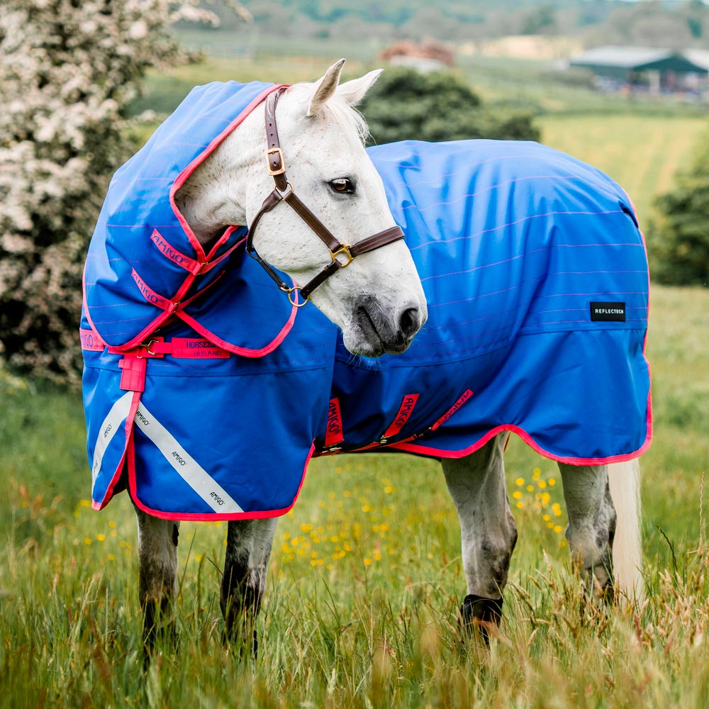 Talviloimi Amigo Bravo Reflectech Plus 250 Horseware®