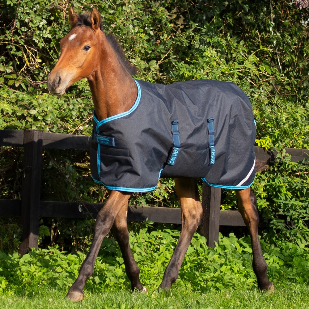 Varsaloimi  Amigo Foal Rug Horseware®