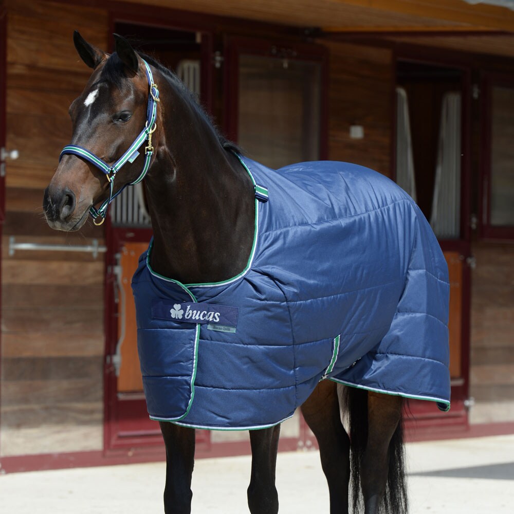 Talliloimi  Quilt Bucas