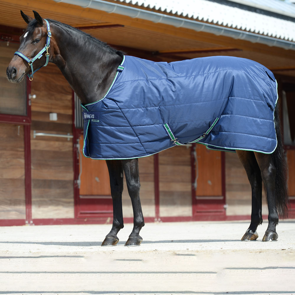 Talliloimi  Quilt Bucas