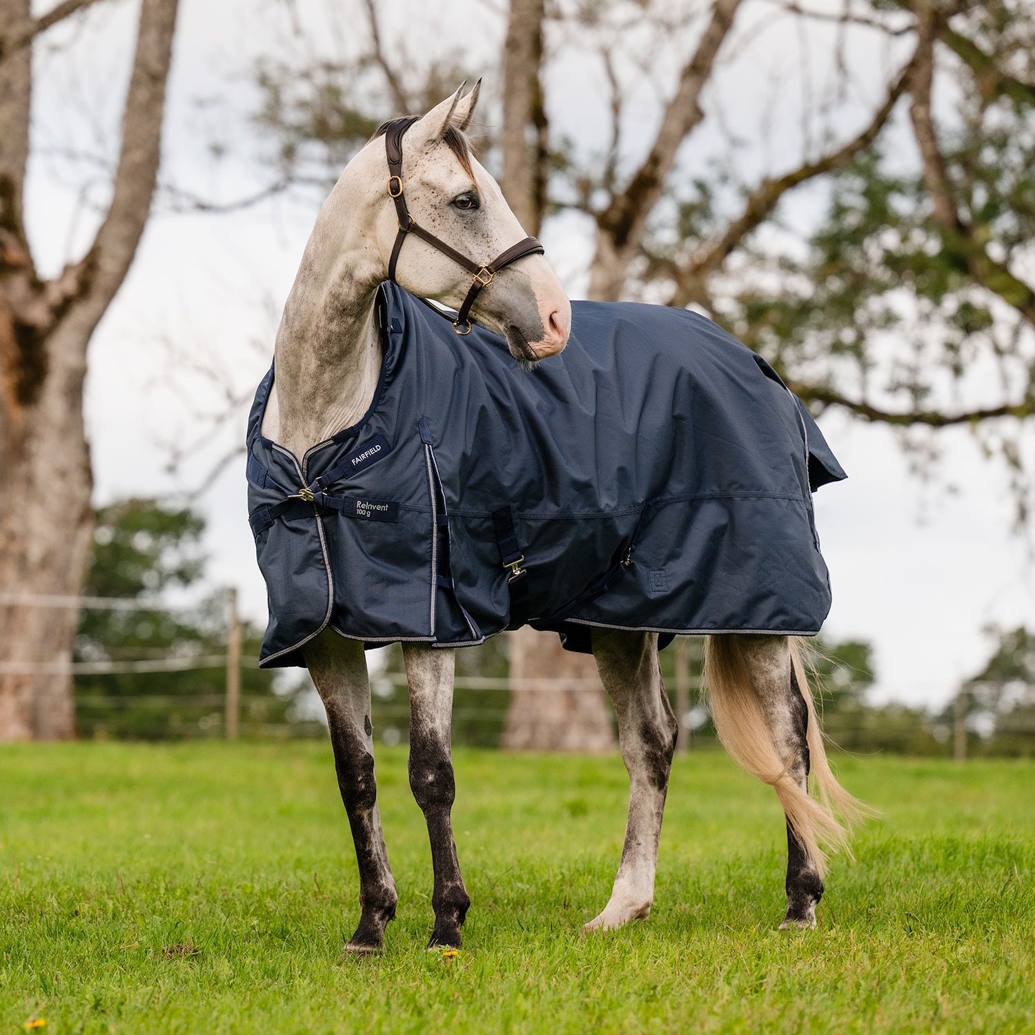 Ulkoloimi  ReInvent 100 g Fairfield®