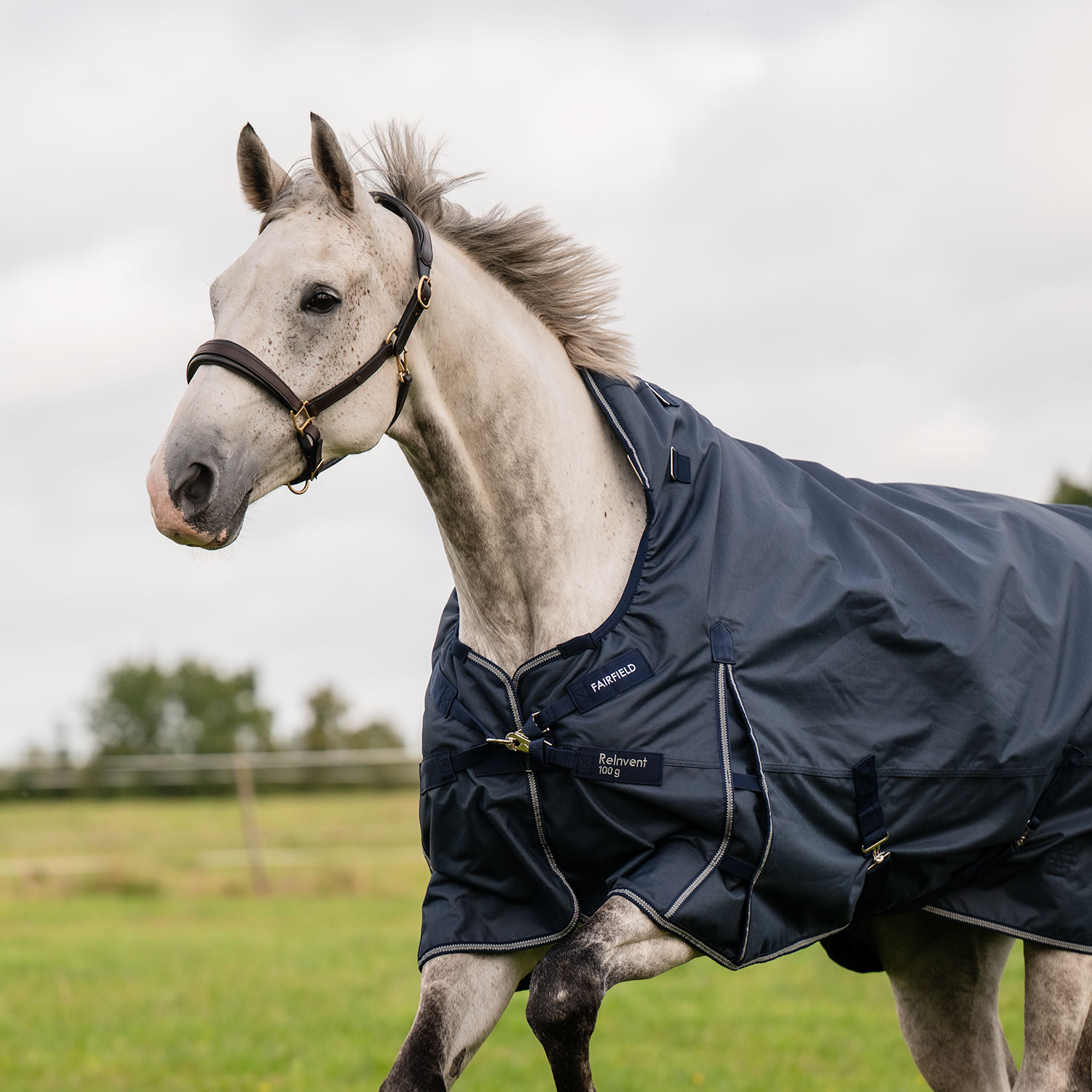 Ulkoloimi  ReInvent 100 g Fairfield®