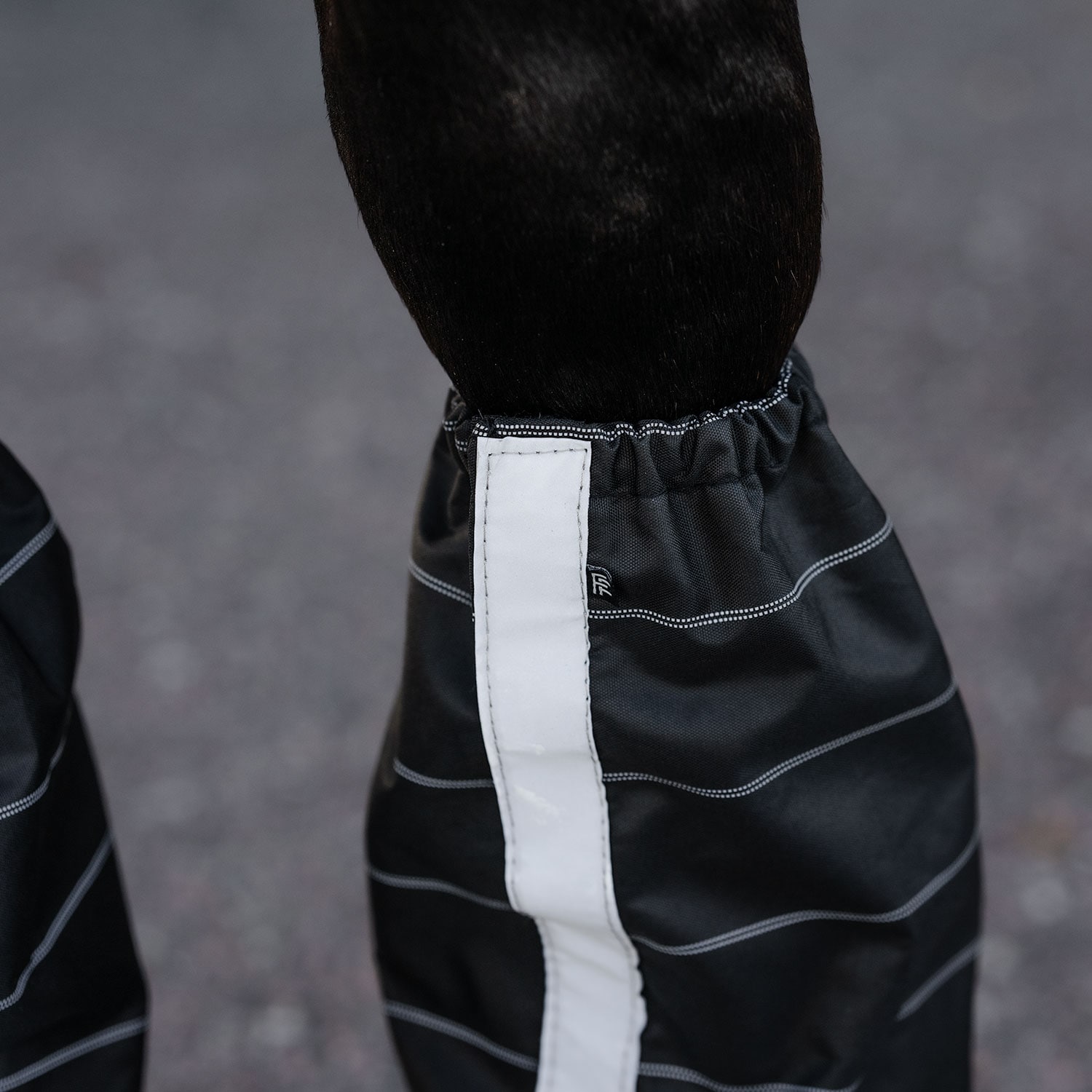 Gaitersit  Gateway Fairfield®