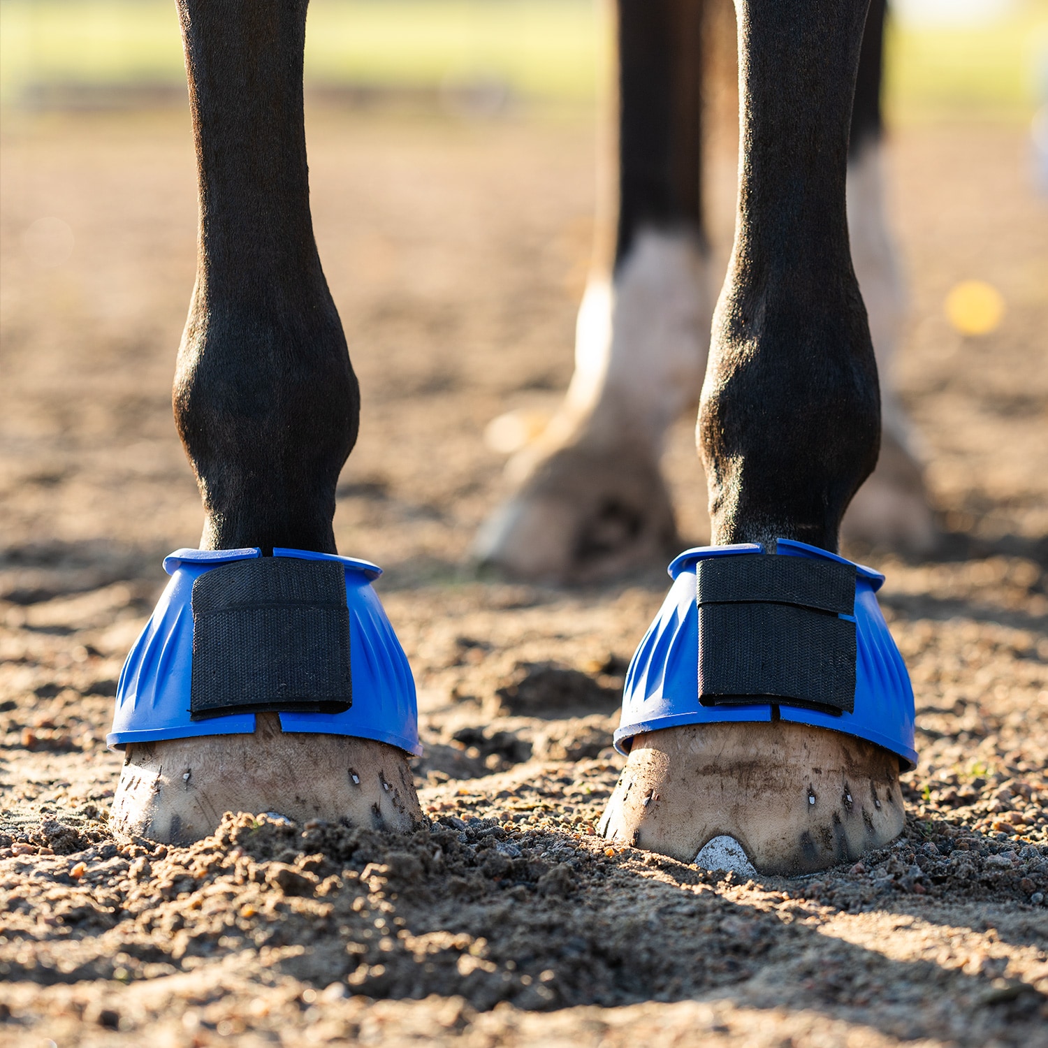 Bootsit Basic Fairfield®