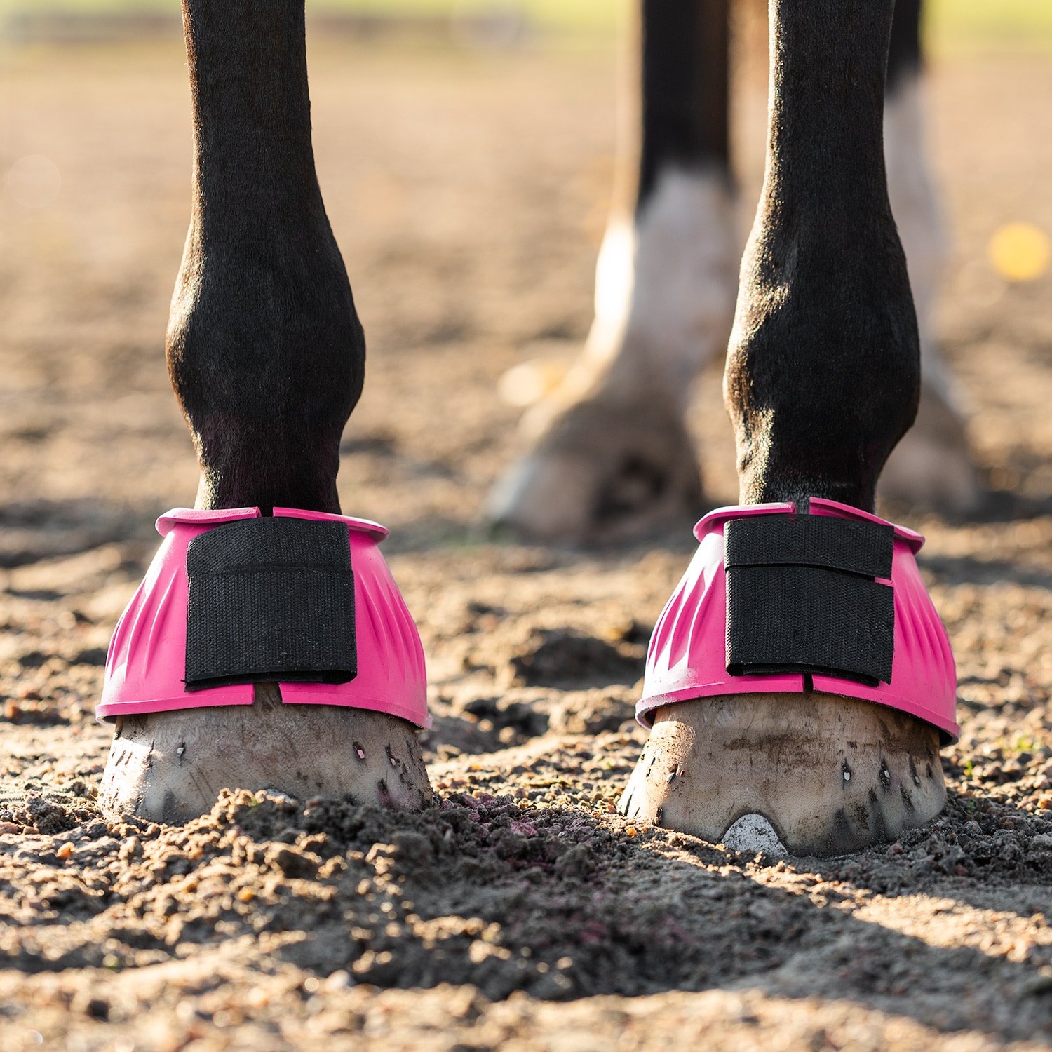 Bootsit Basic Fairfield®