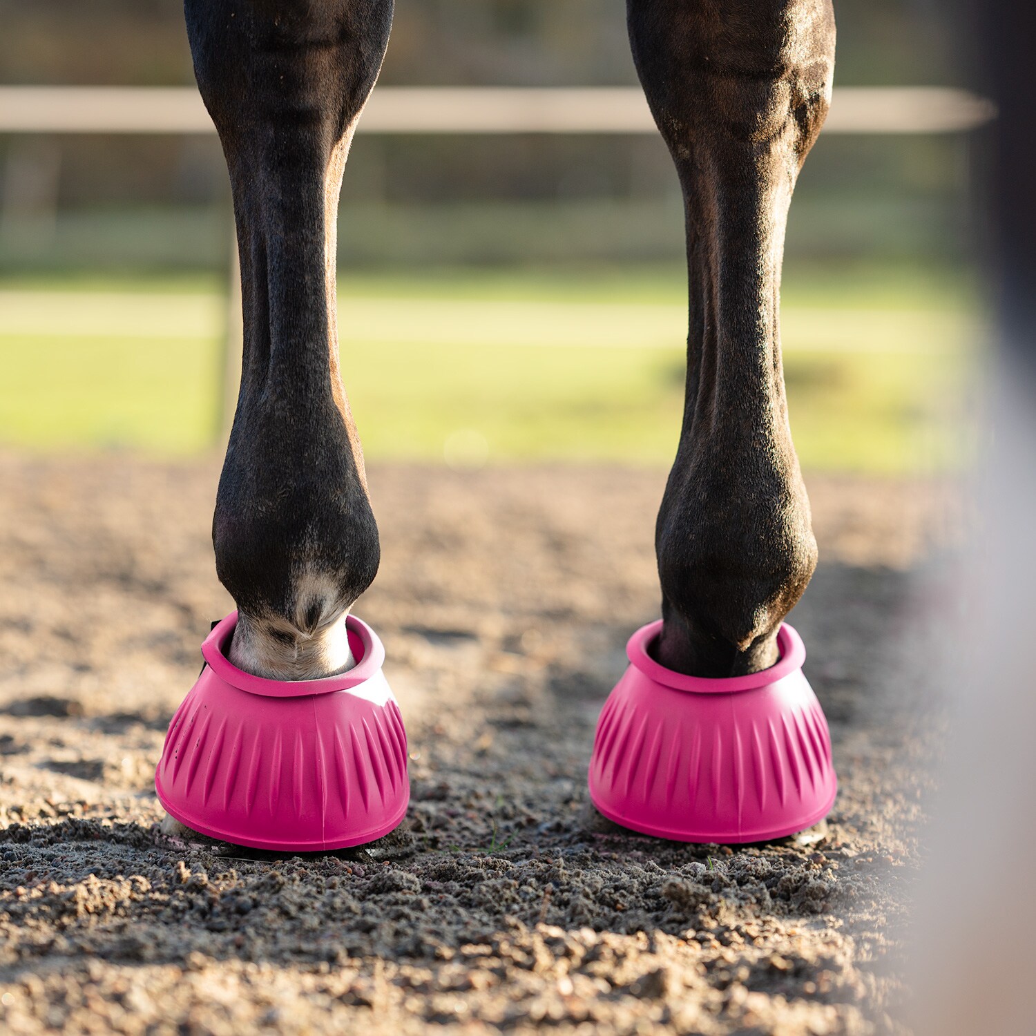 Bootsit Basic Fairfield®