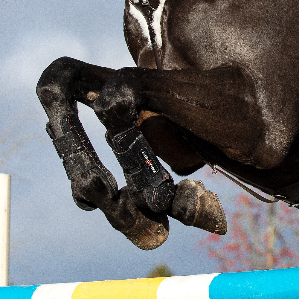 Jännesuojat Endevour EquiXpert®