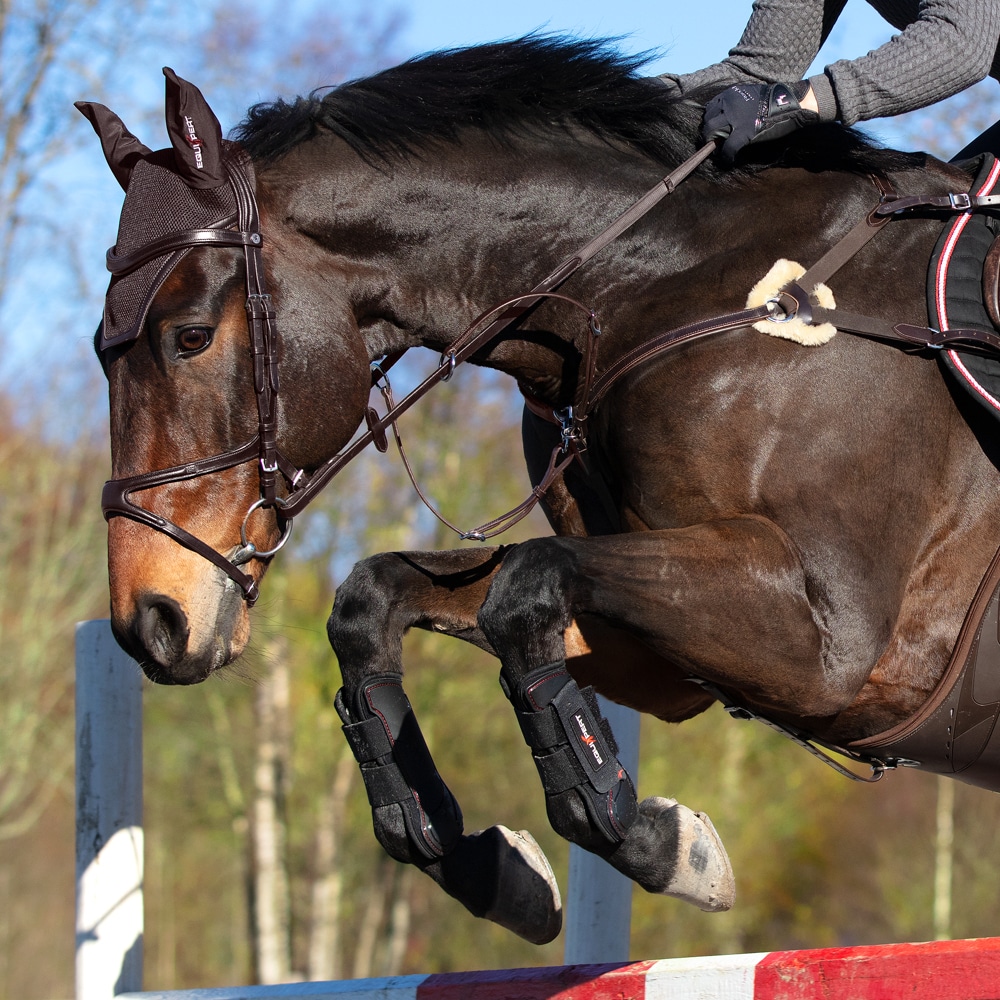 Jännesuojat Endevour EquiXpert®
