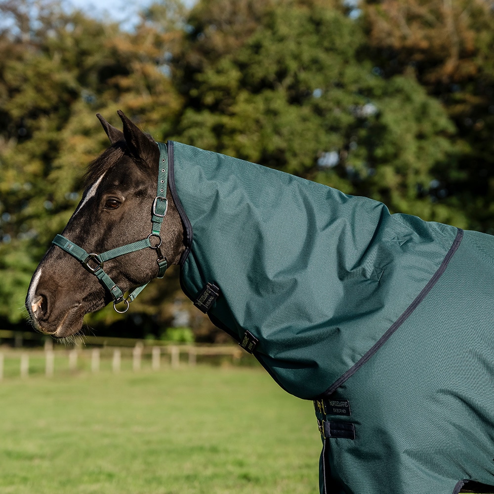 Kaulakappale  Amigo Turnout Ripstop 0G Horseware®