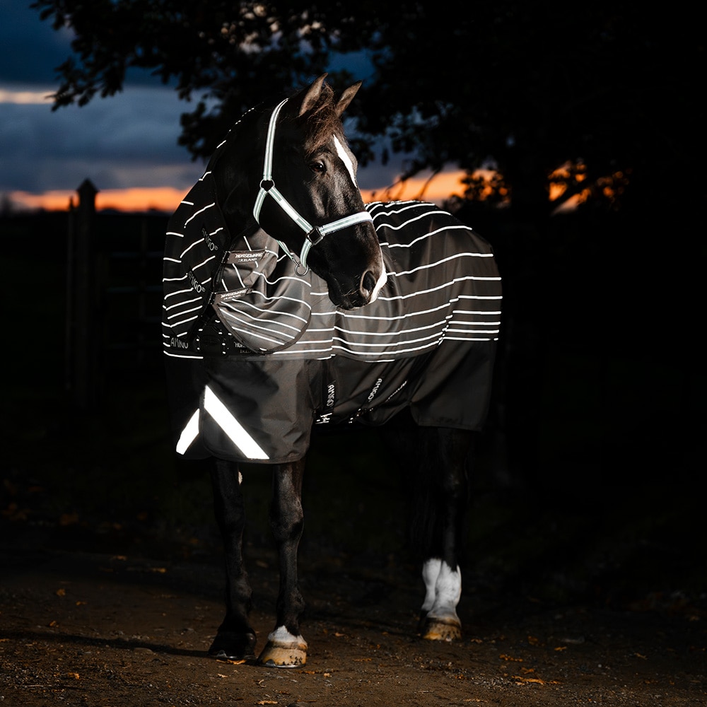 Ulkoloimi 100 g Amigo Bravo 12 Reflectech Plus Turnout Horseware®