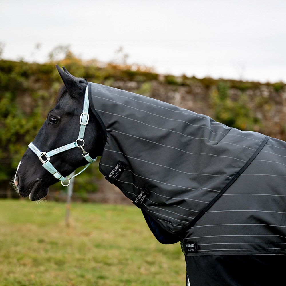 Ulkoloimi 100 g Amigo Bravo 12 Reflectech Plus Turnout Horseware®