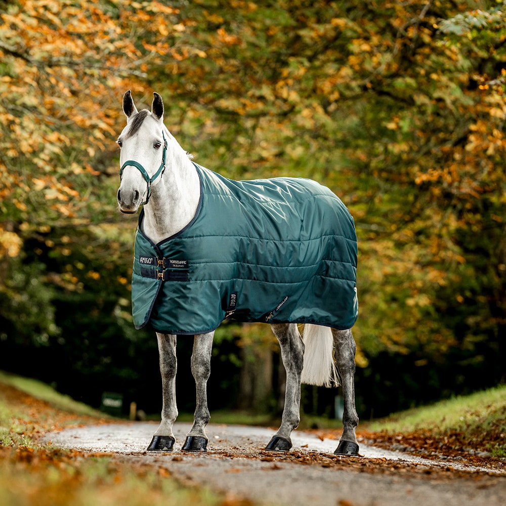 Talliloimi 100 g Amigo Ripstop Insulator Horseware®