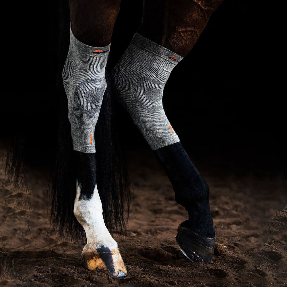 Pinteli  Circulation Hoof Sock Incrediwear Equine