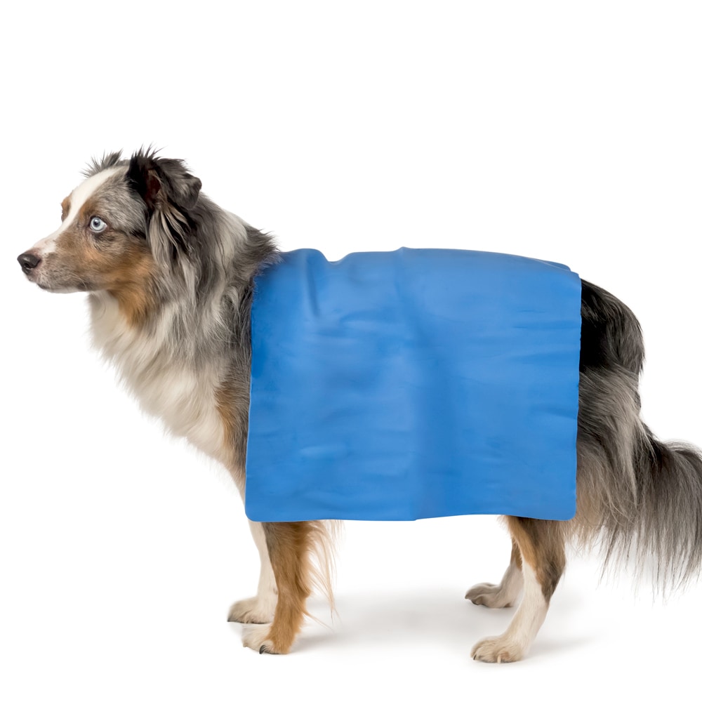 Viilennys- ja kuivausliina Showmaster®