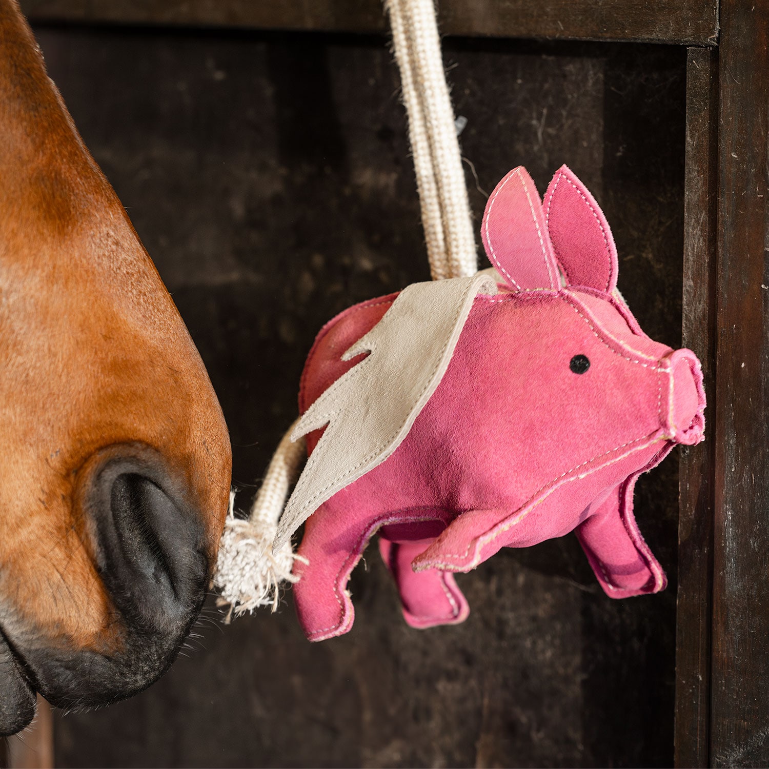 Karsinalelu Pig Hööks