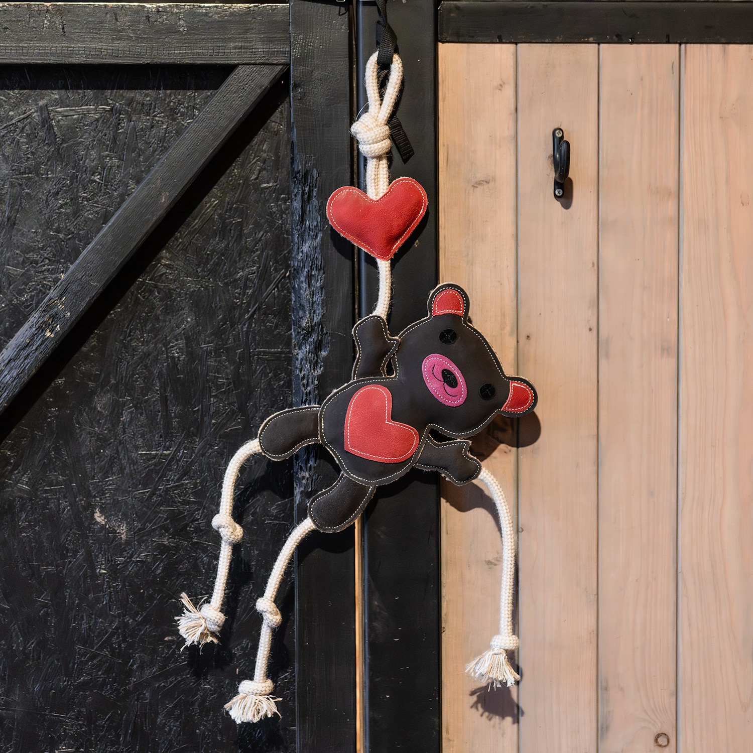 Karsinalelu Teddy Hööks