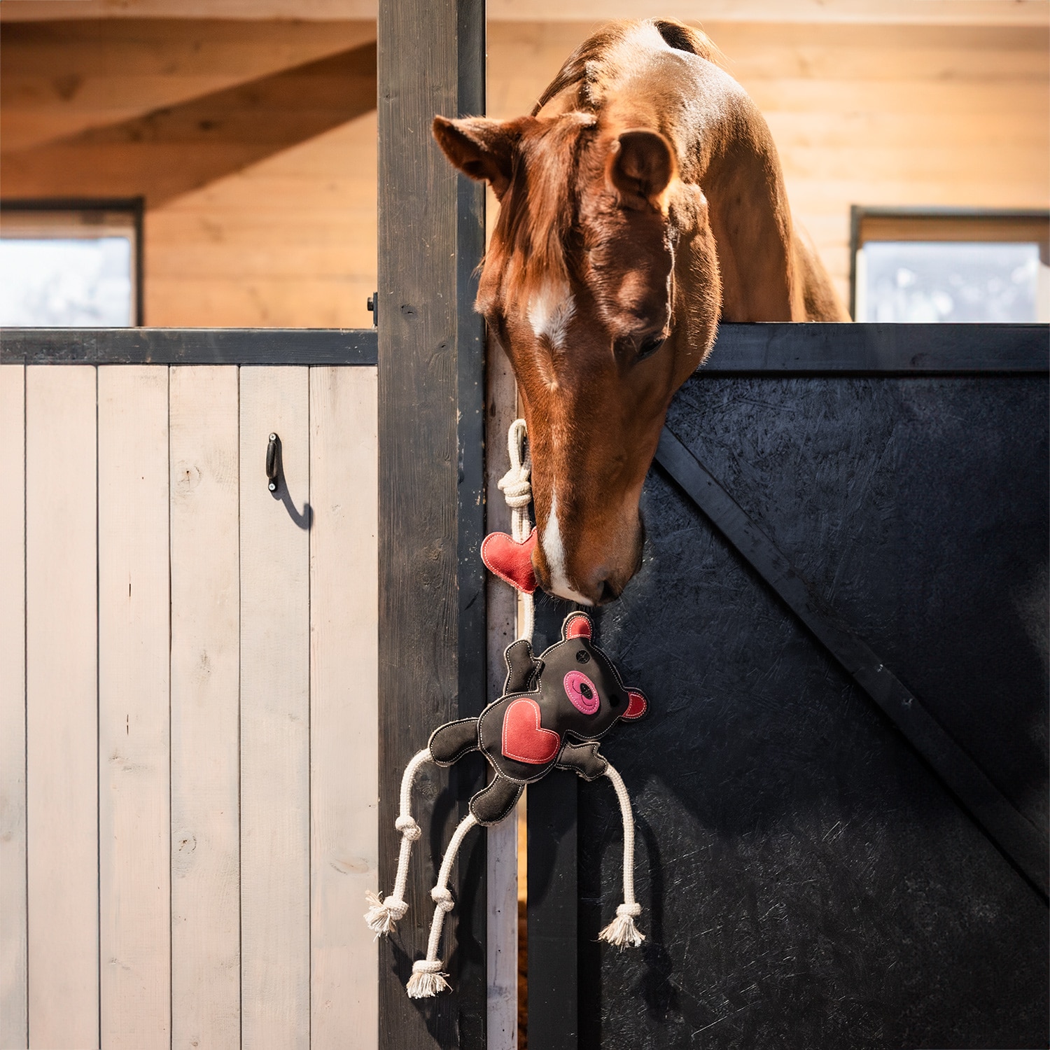 Karsinalelu Teddy Hööks