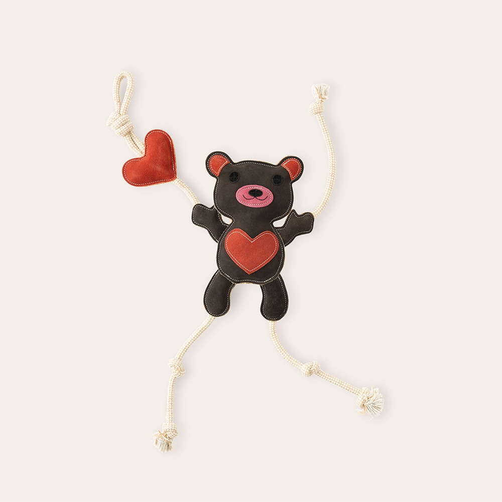 Karsinalelu Teddy Hööks