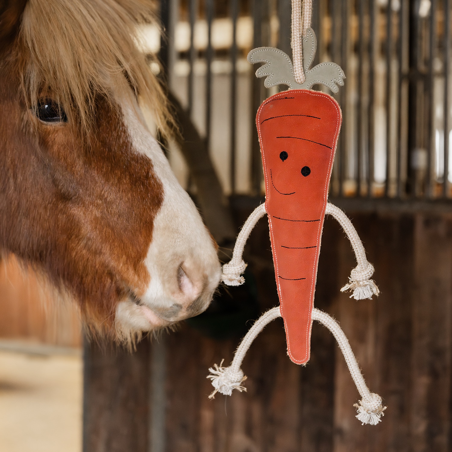Karsinalelu Carrot Hööks