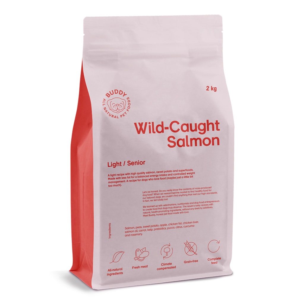 Koiranruoka 2 kg Wild-Caught Salmon BUDDY