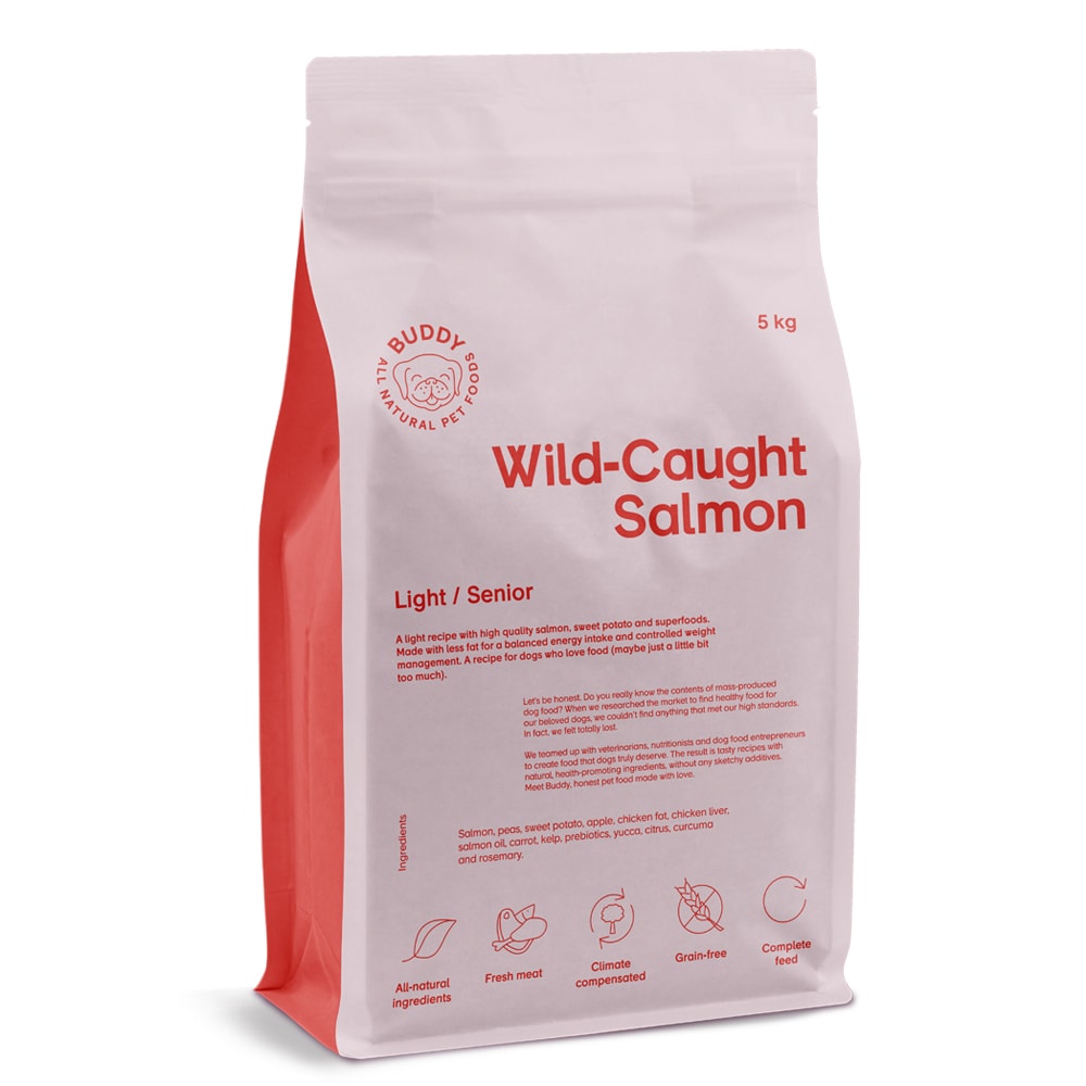 Koiranruoka 5 kg Wild-Caught Salmon BUDDY