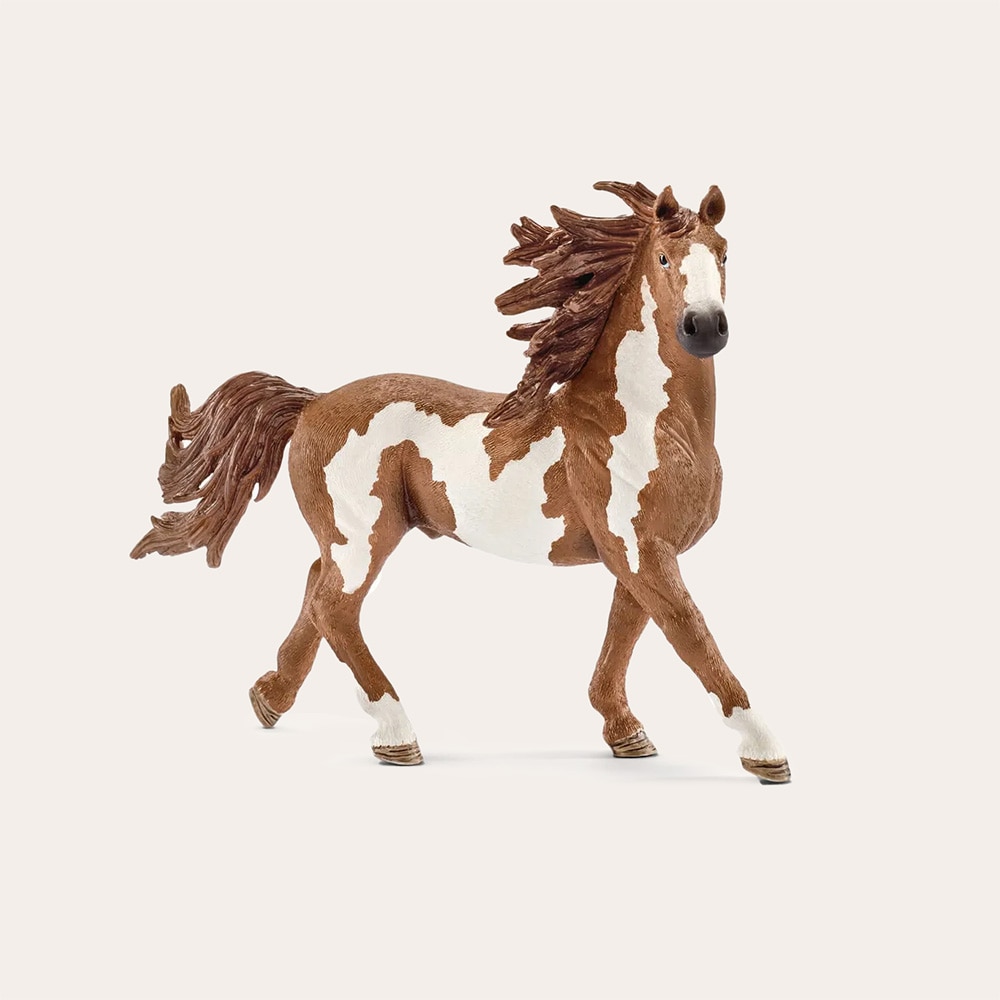 Lelu  Pinto stallion Schleich