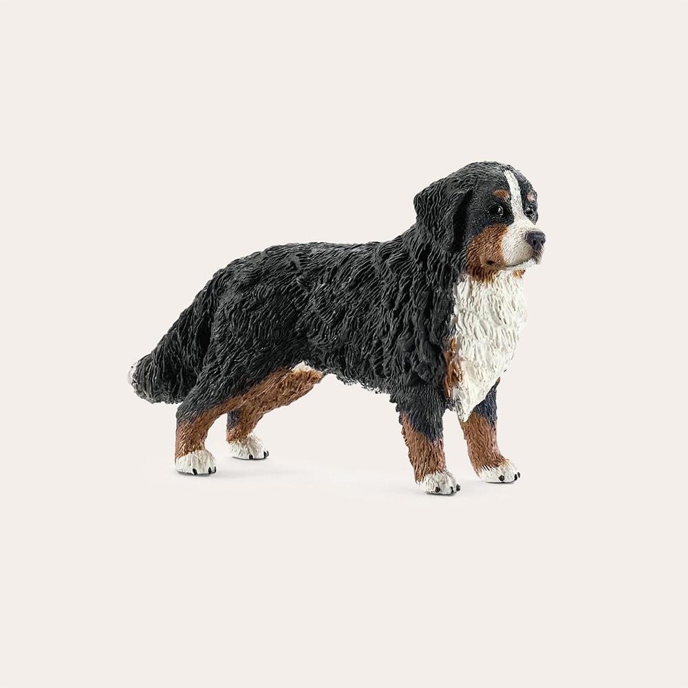 Lelu  Bernese mountain Dog Female Schleich