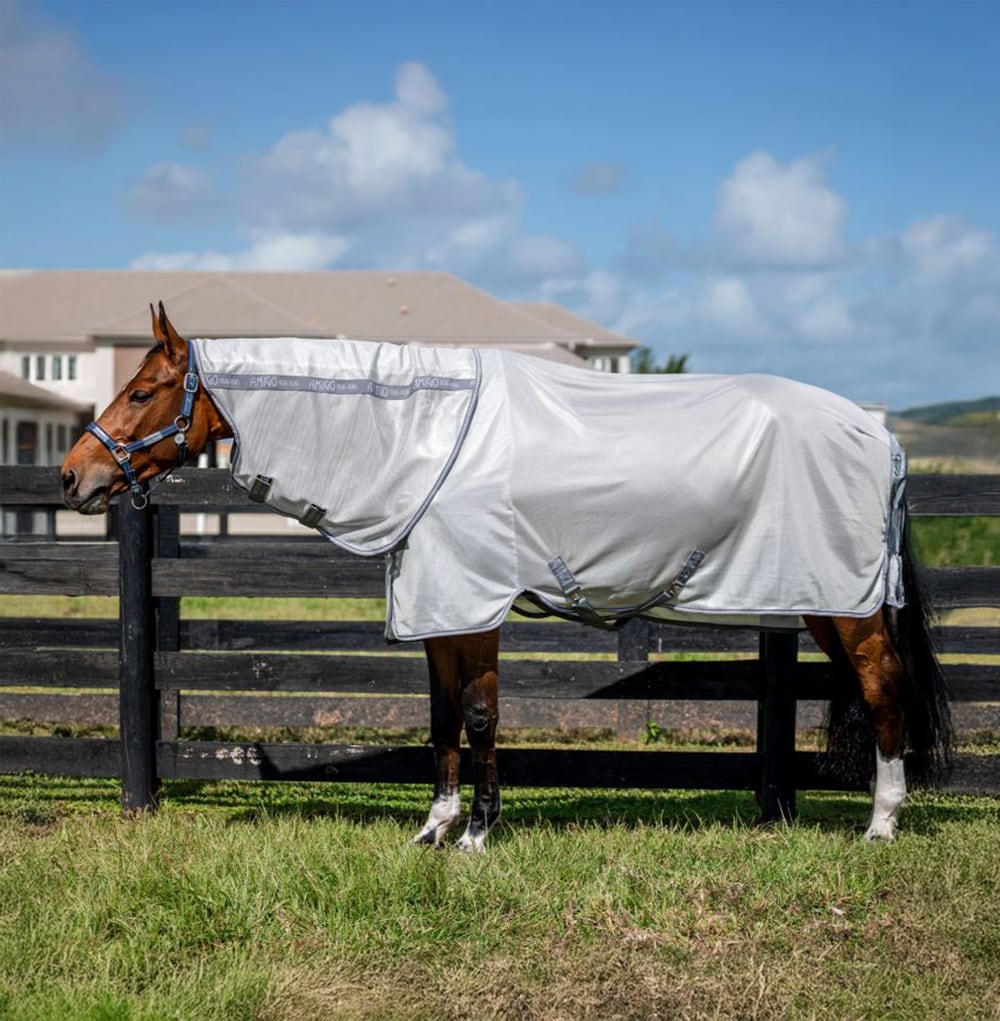 Kärpäsloimi Amigo Bug Rug Plus Horseware®