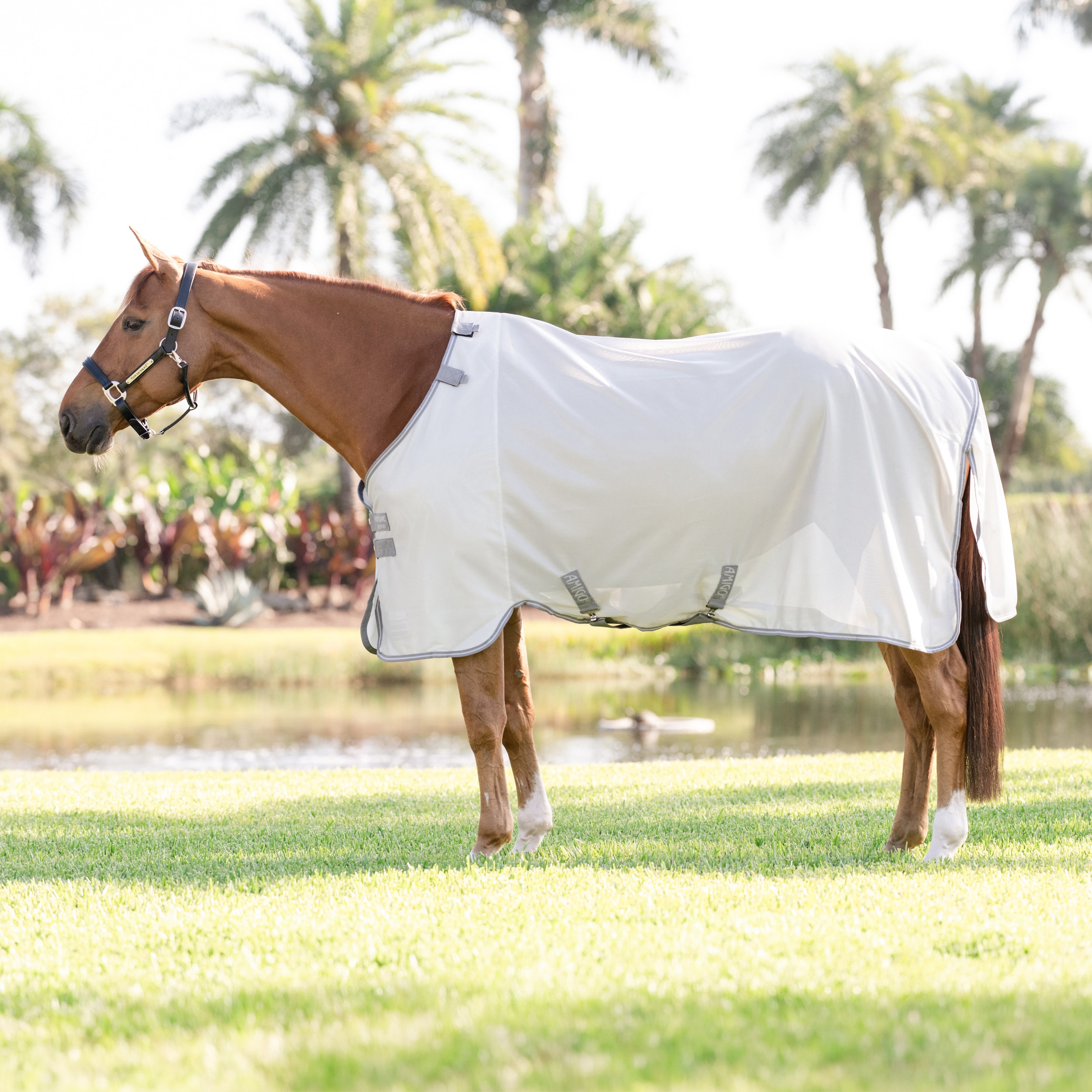 Kärpäsloimi Amigo Bug Rug Horseware®