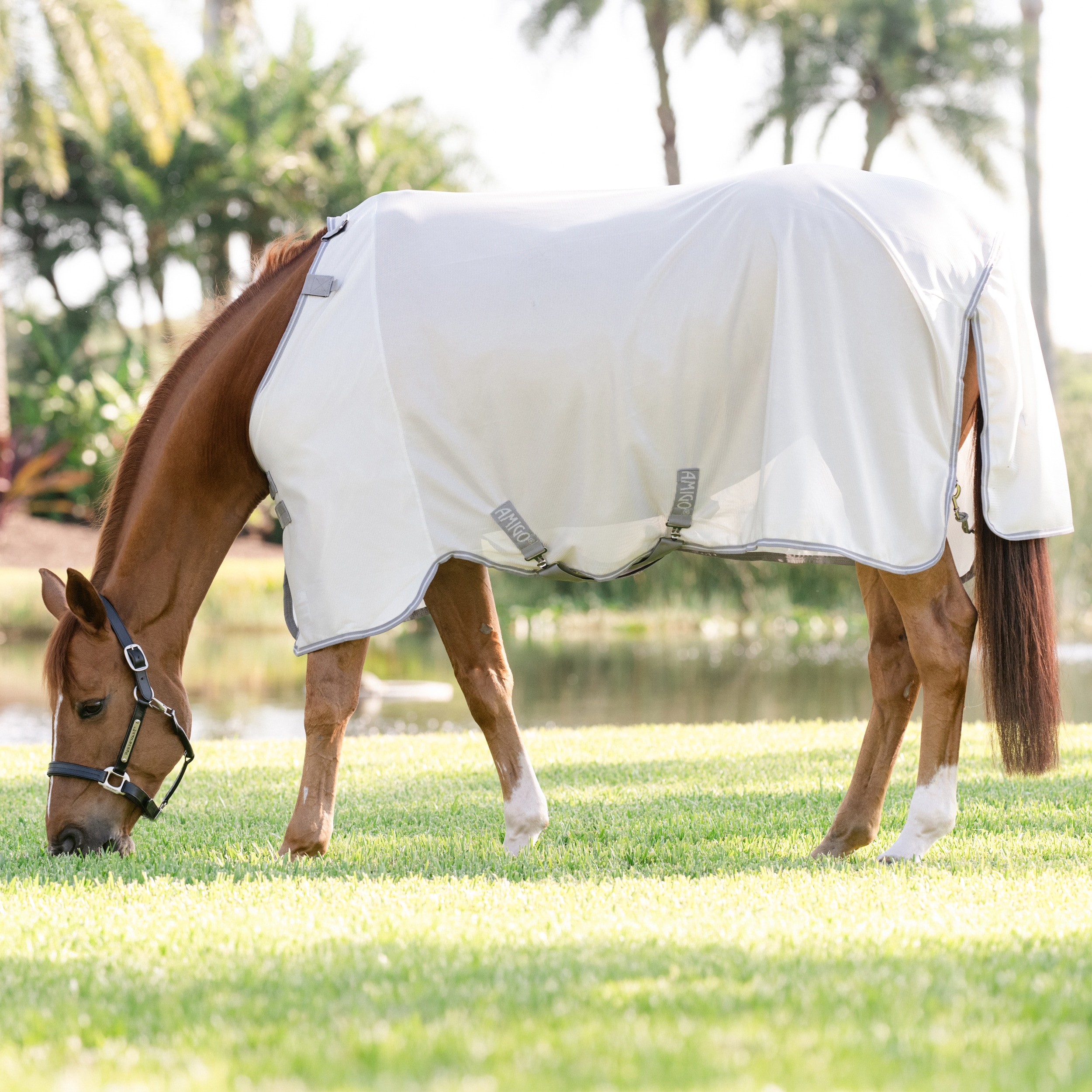 Kärpäsloimi Amigo Bug Rug Horseware®